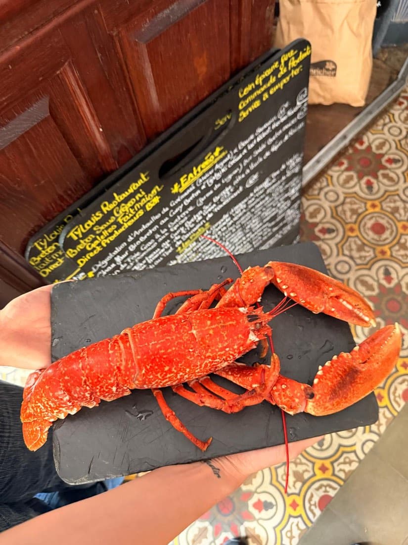 Un homard breton entier cuit, présenté sur une ardoise devant l’ardoise-menu de Ty Louis